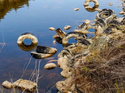 Polluted lagoon Stock Photos