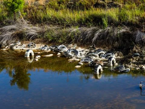 Polluted lagoon Stock Photos