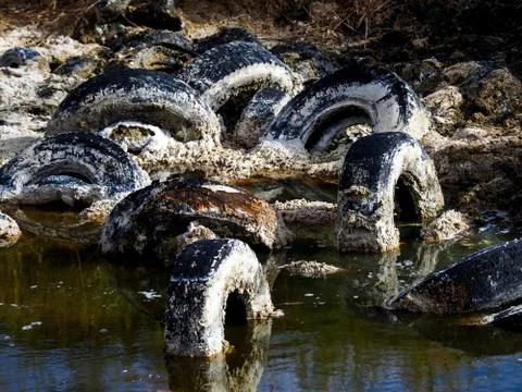 Polluted lagoon Stock Photos