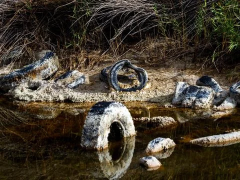 Polluted lagoon Stock Photos