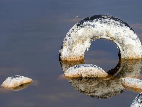 Polluted lagoon Stock Photos