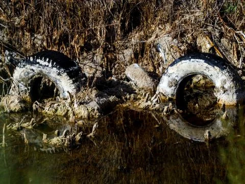 Polluted lagoon Stock Photos