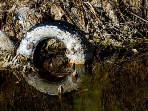 Polluted lagoon Stock Photos