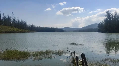 Polluted Lake 1  Stock Footage 303259880
