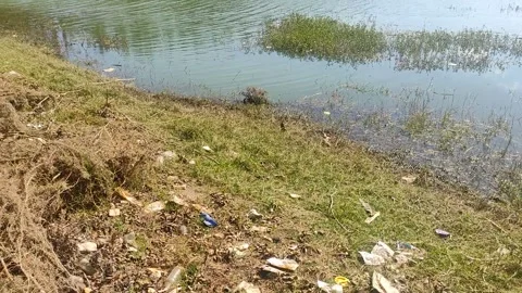 Polluted Lake 2 Stock Footage 303259891