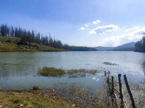 Polluted Lake 2 Stock Photos