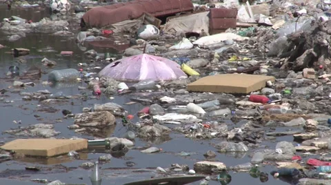 Polluted lake Video stock 37164502