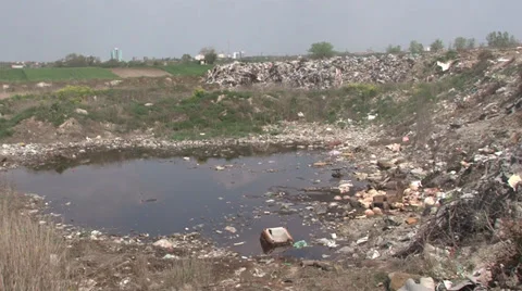Polluted lake Video stock 37164605