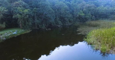 Polluted lake Stock Footage 106874771