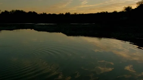 Polluted Lake Stock Footage 179681767