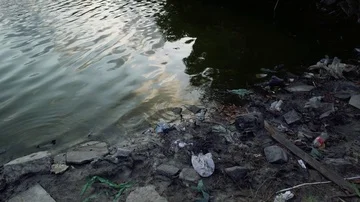 Polluted lakeshore Stock Footage 86009189