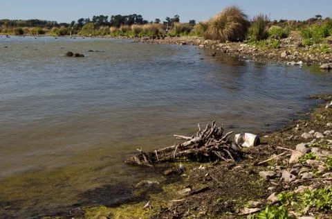 Polluted lakeside Stock Photos