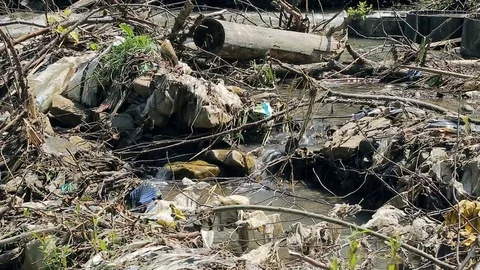Polluted mountain river. Plastic rubbish on branches Stock Footage 78000170