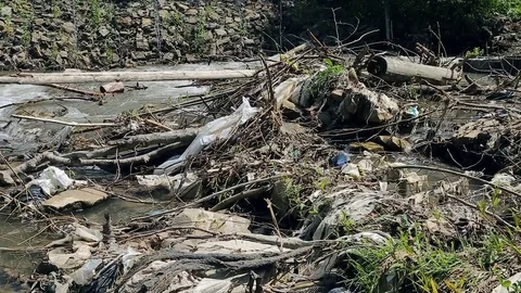 Polluted mountain river. Plastic rubbish on branches Video stock 78000244