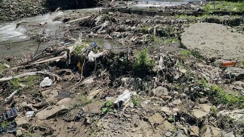 Polluted mountain river. Plastic rubbish on branches Stock Footage 78000509