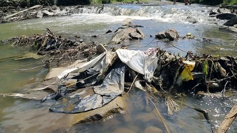 Polluted mountain river. Plastic rubbish on branches Video stock 78000875