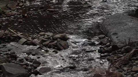 Polluted Mountain Stream with Plastic Waste Stock Footage 329841479