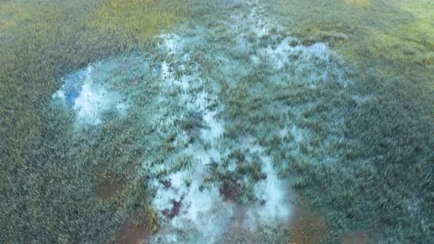 Polluted nature after activities of the copper production plant, Ural region, Ru Stock Footage 197107762