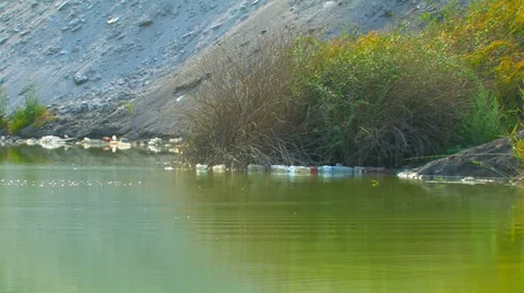 Polluted pond. Stock Footage 35096516