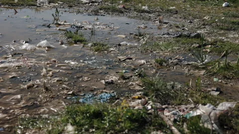 Polluted pond, Trash accumulation, Aquatic health Vídeos de archivo 275074348