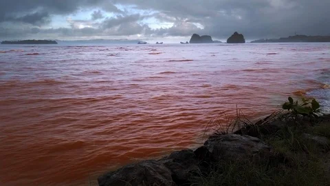 Polluted red tide ocean waters of Taganito Claver Surigao Philippines Stock Footage 122951661