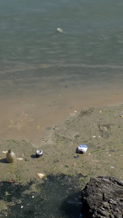 Polluted river bank with plastic trash floating Stock Footage 341444616