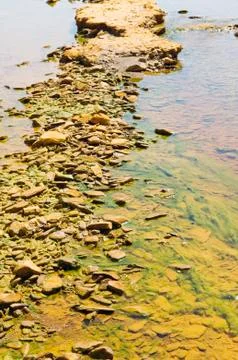 Polluted river detail Stock Photos