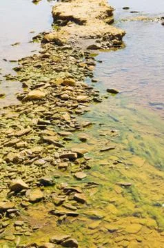 Polluted river detail Stock Photos