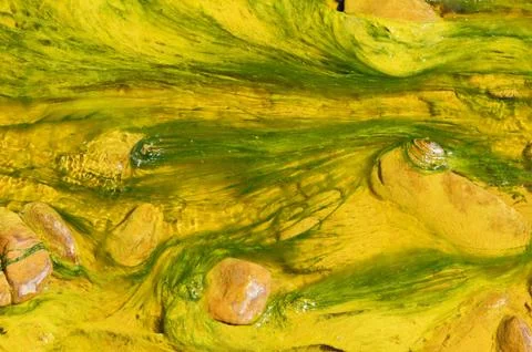 Polluted river detail Stock Photos