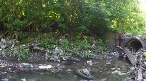 Polluted river. environmental issue wide shot Stock-Footage 51489747