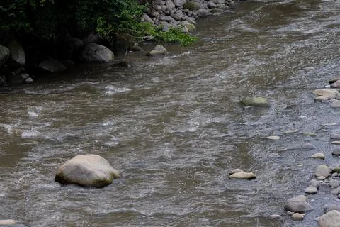 A polluted river with floating debris and rocks reflects nearby greenery an.. Stock Photos