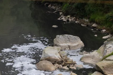 A polluted river with floating debris and rocks reflects nearby greenery an.. Stock Photos