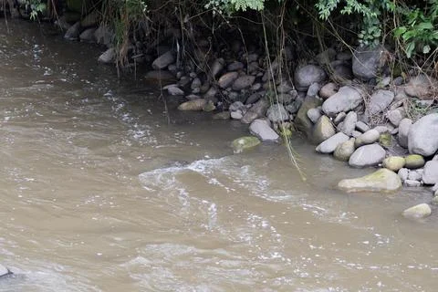 A polluted river with floating debris and rocks reflects nearby greenery an.. Stock Photos