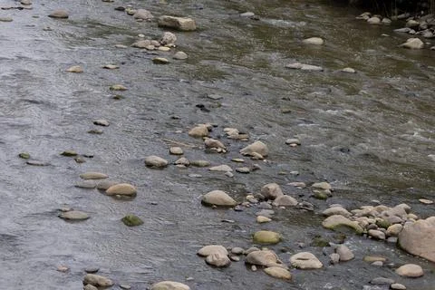 A polluted river with floating debris and rocks reflects nearby greenery an.. Foto stock