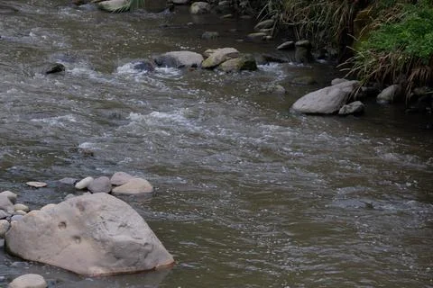 A polluted river with floating debris and rocks reflects nearby greenery an.. Foto stock