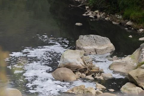 A polluted river with floating debris and rocks reflects nearby greenery an.. Stock Photos