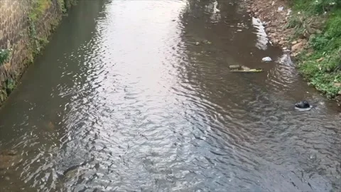 Polluted river with floating garbage in urban area Stock-Footage 336454136