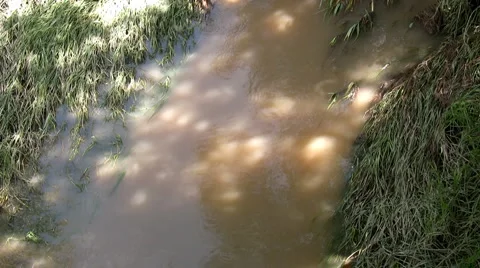 Polluted river Stock-Footage 6868771