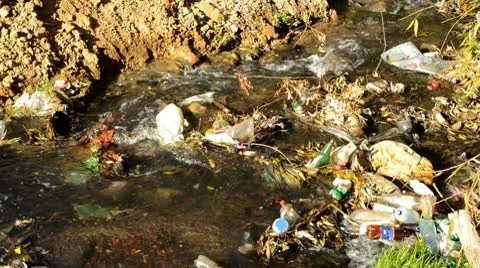 Polluted river Vídeos de archivo 8947586