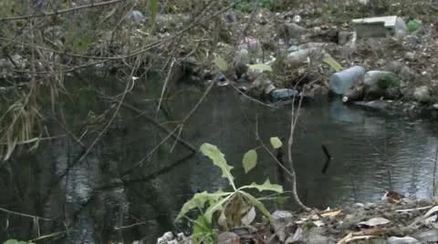 Polluted river Stock Footage 12635490