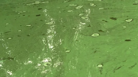 Polluted river 스톡 동영상 28995372