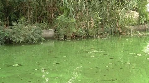 Polluted river Stock Footage 28996536