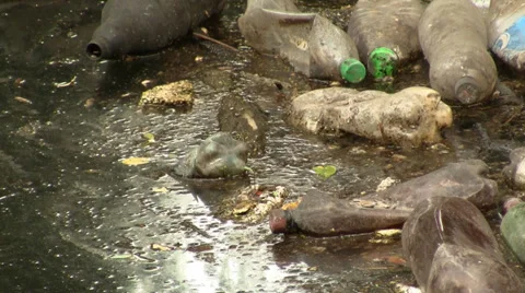 Polluted river 動画素材 29002868