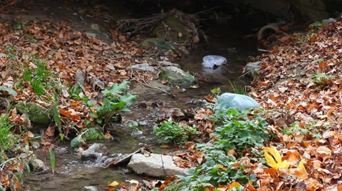 Polluted river 스톡 동영상 34310446