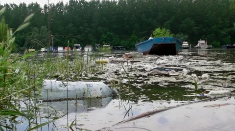 Polluted river Stock Footage 40909899