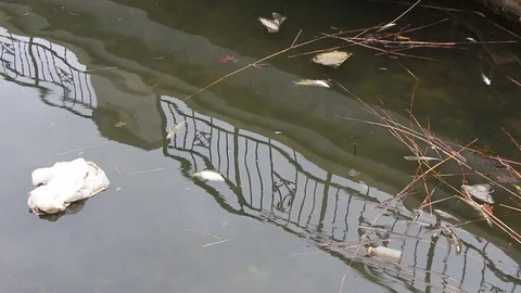Polluted river Stock Footage 81837689