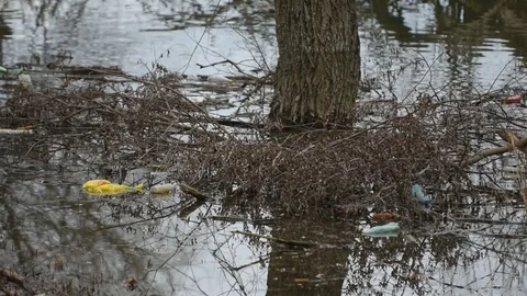 Polluted river Stock Footage 83701042