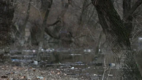 Polluted river Stock Footage 83701075