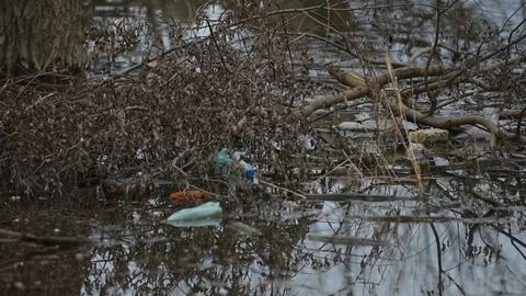 Polluted river Stock Footage 83701086