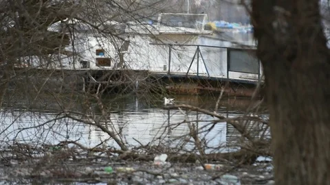 Polluted river Stock Footage 83701157